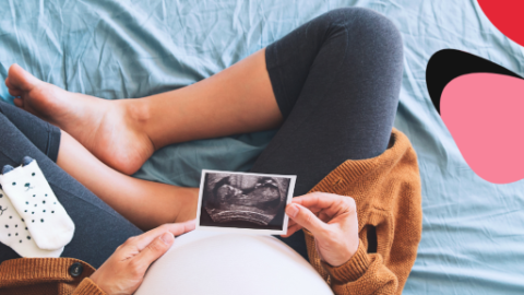 maternity rights of a woman pregnant sat on a bed with a sonogram