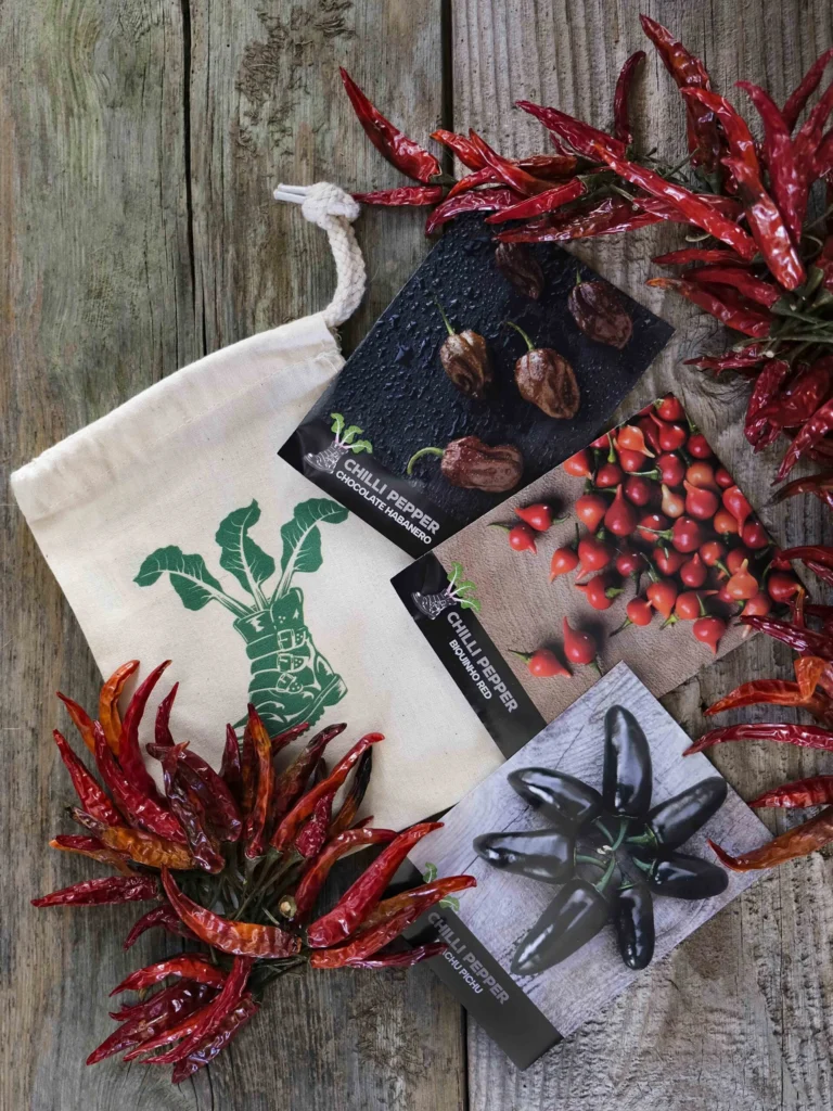 Gift Pack Chilli Trio LAH 2024 web DSF3010 scaled 1