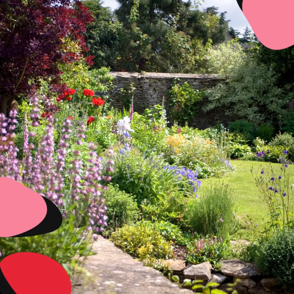 Garden showing May & June Flowering Plants To Look Out For