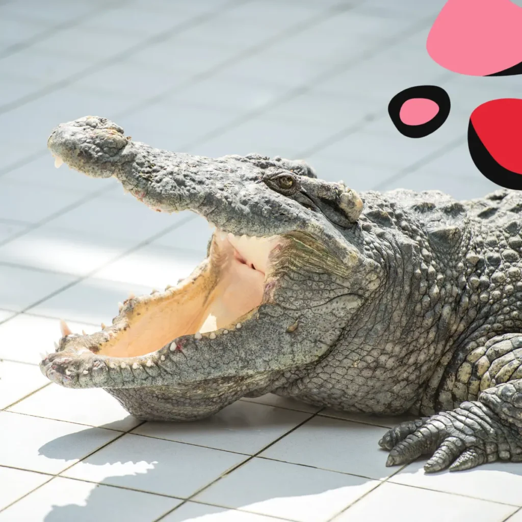 crocodile in zoos west sussex