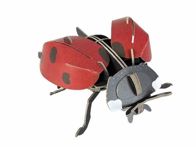 lady bug build a toy