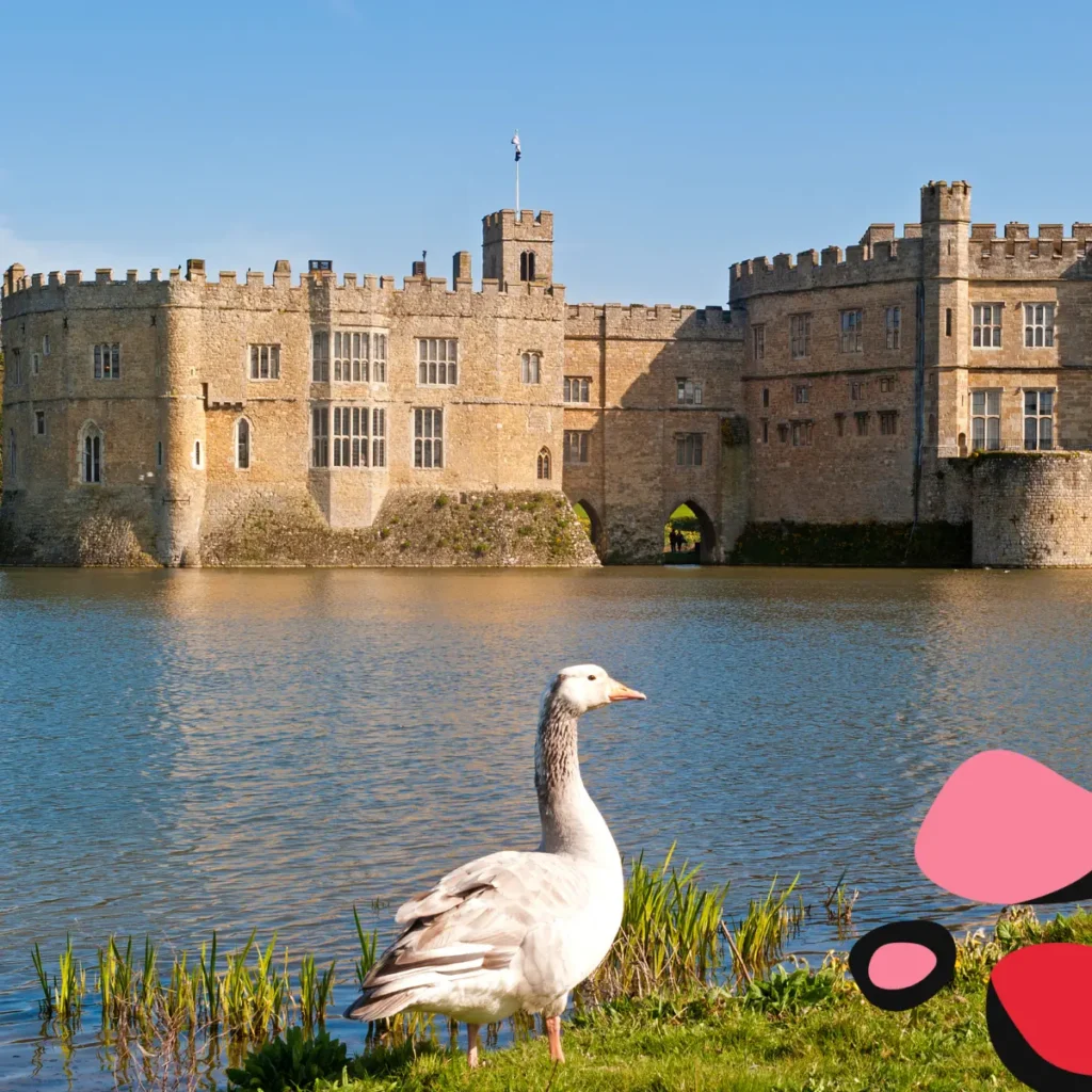 kent castles list with castle and moat and swan in picture