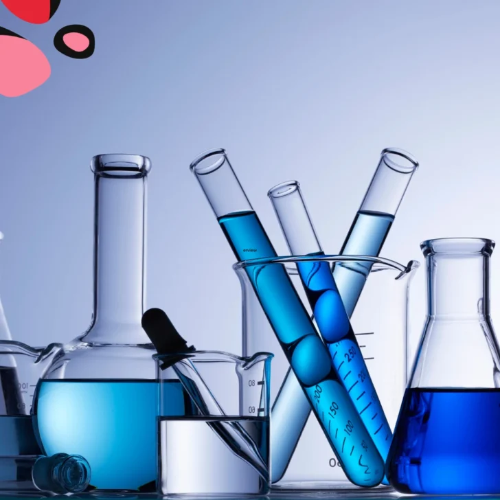 Content Creation Services for Science, Tech, and Healthcare Sectors