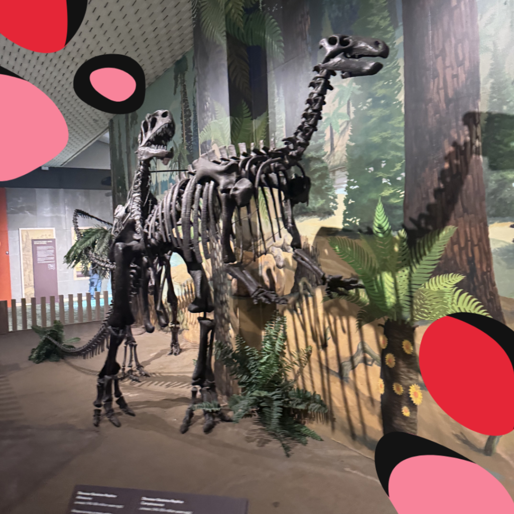 dinosaur at liverpool world museum