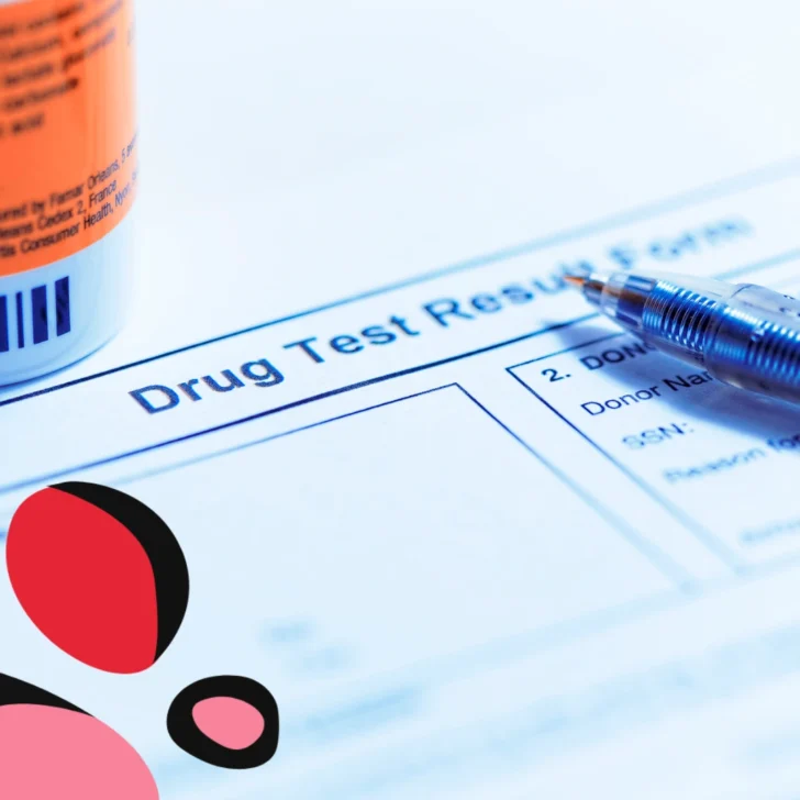 5 Leading Drug Testing Kit Suppliers Within the UK